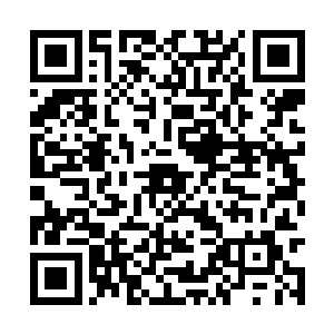 结果连高级山门和顶级山门的顶尖弟子都对付不了二维码生成