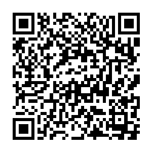 结果那个初出茅庐的新人竟然在自相残杀的比斗中连续闯过了五关二维码生成
