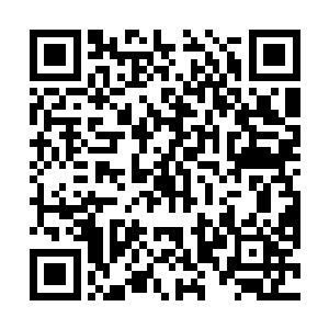 结果那厨娘盛气凌人地说那老鸭汤是给贾姨娘做的……二维码生成