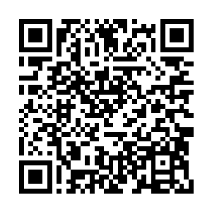 给他们真正内门弟子甚至核心弟子的地位又如何二维码生成