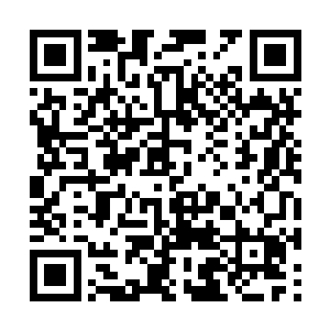 给在树荫下躺椅上的养母轻轻的把毯子往上扯了扯二维码生成