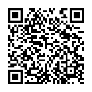 给小姐请的第一批家教应征的人员已经考核完毕了二维码生成