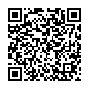 给强行摇乱了思维的吴梦溪才捋了捋自己的发丝慵懒的起身二维码生成