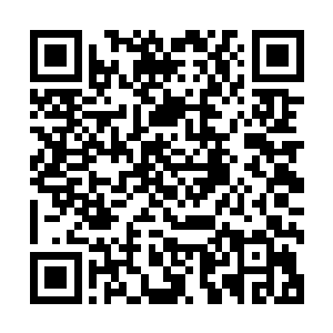 给架子上的小太妹弄了一点儿生板栗放到了架子上的小食盆里二维码生成
