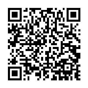 给那些攻击本届奥运会以及我的政敌们留下最好的把柄二维码生成