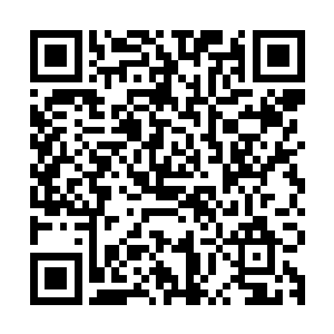 给郑午重新伪造一个真实存在于户籍中的新身份出来也不是问题二维码生成