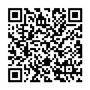 绝倾殇怎么可能让世凤一人忍受着被吸血藤缠绕吸血的痛苦二维码生成