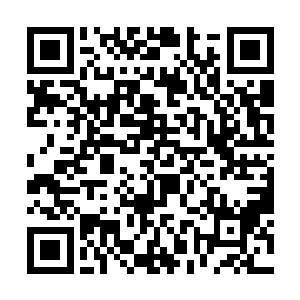 绝大多数也是手上沾了无数敌人性命而后幸存的老兵二维码生成