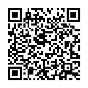 绝大多数非职业玩家在预赛阶段就被刷得差不多了二维码生成