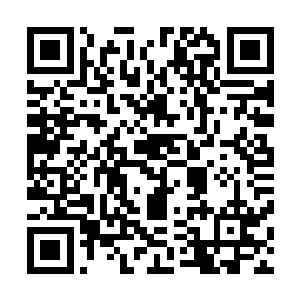 绝对不会把自己的这条小命的生存建立在可能的某种概率上二维码生成