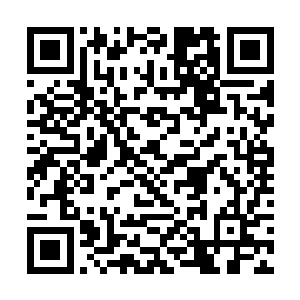 绝对不会给自己和他们中的任何一个单独相处的机会二维码生成