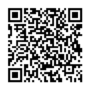绝对会联想到这一系列的震动和林凡脱离不了关系二维码生成