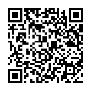 绝对是属于可遇而不可求的宝物……任何一株灵药的出世二维码生成