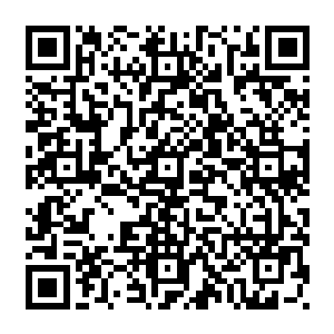 绝对是比龙傲天所见过的额任何的逆天的丹药都要不知道高级多少倍的顶尖的存在二维码生成