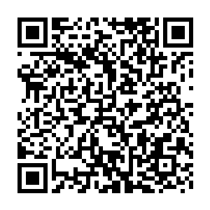 绝对没有几个人会无缘无故的出现在离野狼城堡十多公里以外的地方二维码生成