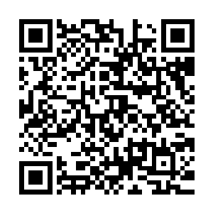 绝顶天才选择在九重命陨以后才进行火灵星试炼的只占了小部分二维码生成