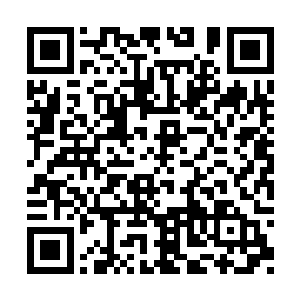 绣着代表太阳和光明的复杂宗教纹饰的华丽长袍二维码生成