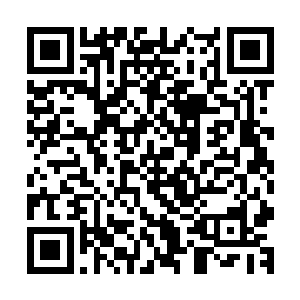 维和部队的蓝盔们认为私人军事公司的佣兵就是一群乌合之众二维码生成