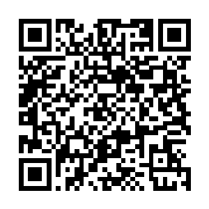 维持它们最基本的生长需求……也就是在那里熬年份的意思二维码生成