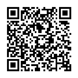 维杰倒是已经习惯了老爷身边经常出现漂亮的婆娘二维码生成