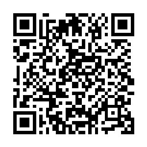 维杰里的自作主张――这让凯文更怀疑他和珍妮弗的关系二维码生成
