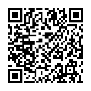 绿磷魔猿的肩膀顿时炸开一道手指粗细的的伤口二维码生成