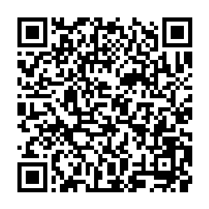 绿色熊狮原本打算被这个狡猾如狐狸的臭丫头取走十分之六的心脏精血后二维码生成