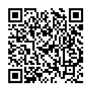 编剧导演服装舞美以及编曲写词和舞蹈设计什么的二维码生成
