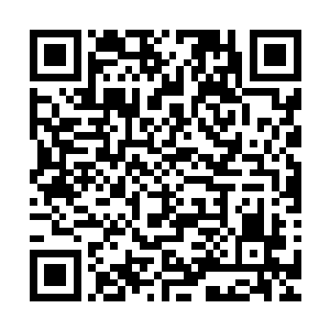 编号一的程序不能被除了我这样的电子生命之外任何方式读取二维码生成