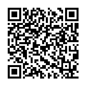 网络上出现了无数关于这一次水泡娃娃的新闻报道二维码生成