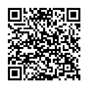 罗伯森教授早就被注射进了一种特殊的化学物质二维码生成