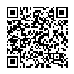 罗伯特不明白市长先生为何会同意来这儿和这些华夏人谈判二维码生成