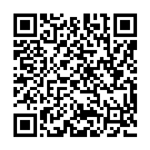 罗兰城的队伍自然是发现了在东城门口等候的迎宾队伍二维码生成