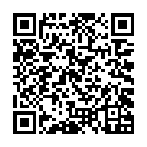 罗卿卿便完全放松地将整个人投入了林烽的怀抱当中二维码生成