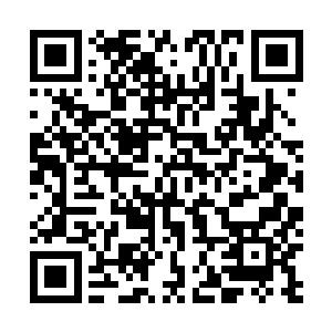 罗小柔自从看见幽心草后就舍不得将眼神从它上面离开了二维码生成