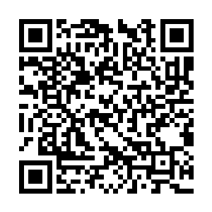 罗布现在站的位置正好挡在了苏凡和那扇门的中间二维码生成