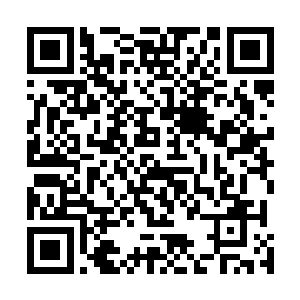 罗建这一击的速度之快让他根本就没有多余的时间去还击二维码生成