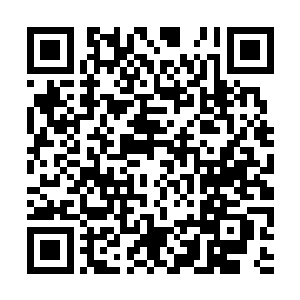 罗森伯格关于女主角蕾伊身世设定的各种可能……二维码生成