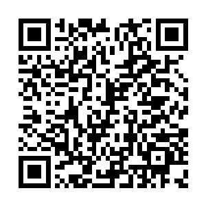 罗森伯格对全球性的文化传播做出了巨大的贡献二维码生成