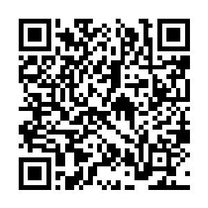 罗楼在他们中的影响也变成和十强一样对等的存在二维码生成