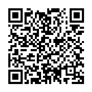 罗楼有点明了为什么柳生宗一门没有创建或者加入任何派系了二维码生成
