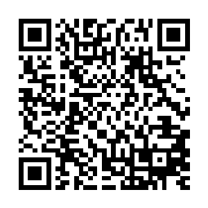 罗楼颁布的法令很有效的压下了刚刚收纳野狼帮的一些混乱之心二维码生成