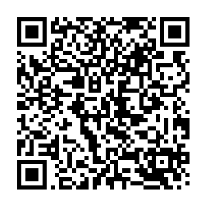 罗迪和陈小练两人一起走进了位于伦敦威斯敏斯特区的这家船只租赁公司二维码生成