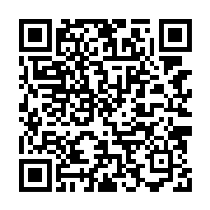 罪子怎担得起掌门一声前辈……天绝宗宗门虽灭二维码生成