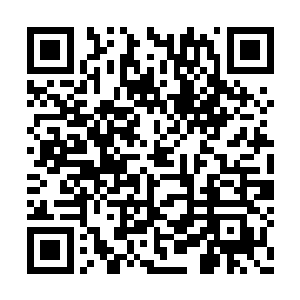 羊角地行龙在暗极域是一种非常罕见的高能生物二维码生成