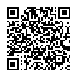 美国人克林特一伊斯特伍德领衔的评审团将金棕榈奖颁发给了二维码生成