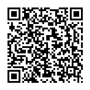 美国电影艺术与科学学院没有再一次无视这位明日之星的巨大潜力二维码生成