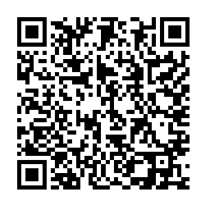 美工在综合了苏青黛之前所画的女主神玥和其他一些觉得的造型之后二维码生成