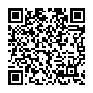 羚飞仙和小儒帝在爆炸最恐怖的第一道冲击波过了之后二维码生成