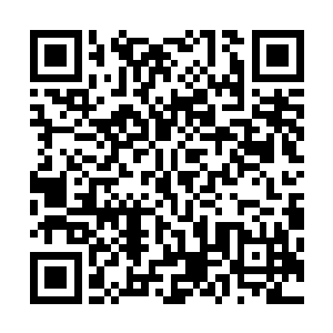 群岛修士连同幽浮岛长霄殿的修士都会出来和海族妖兽战斗二维码生成